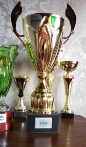 artemida pokal
