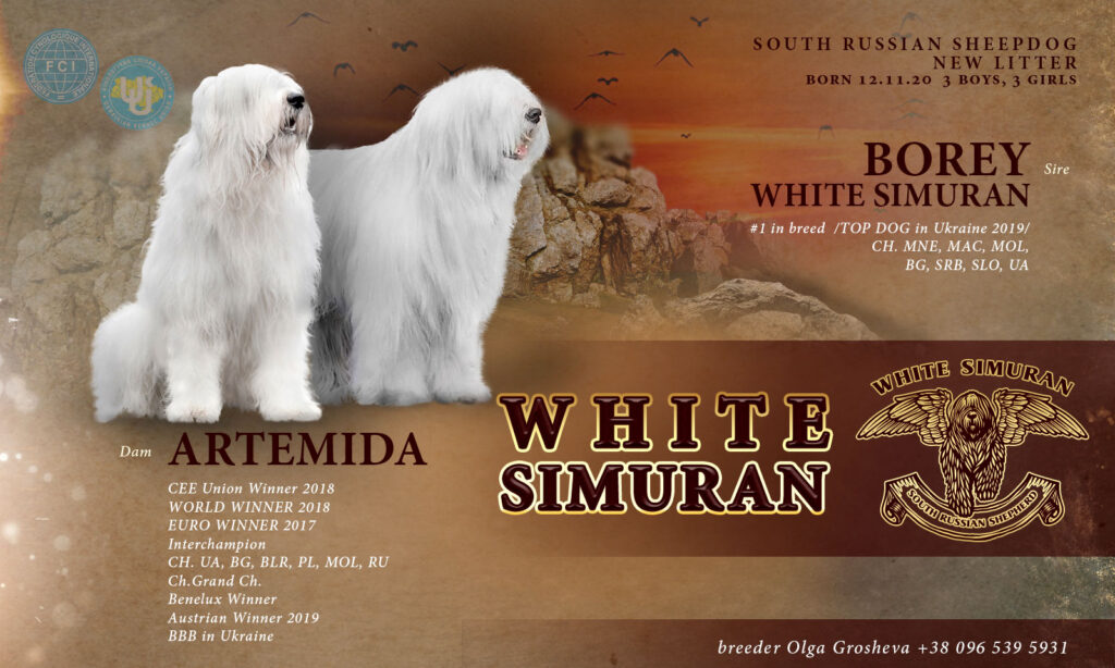 borey-artemida - artemida-borey-werbung2