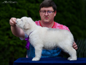 borey-atlanta - DSC_8229
