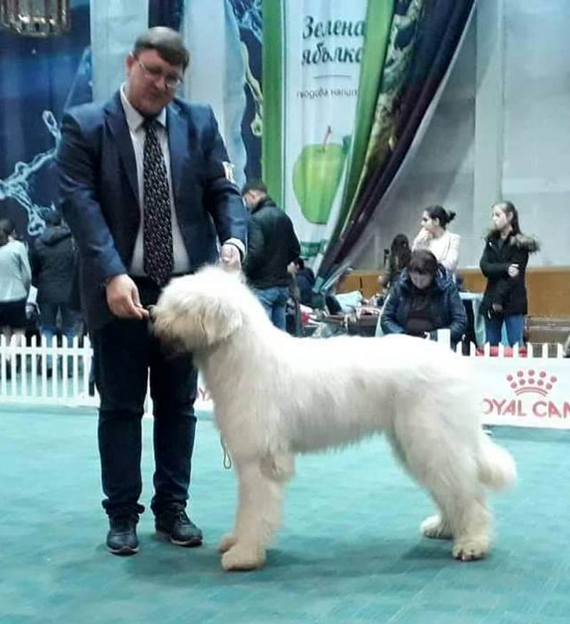 atlanta - atl_0006.jpg