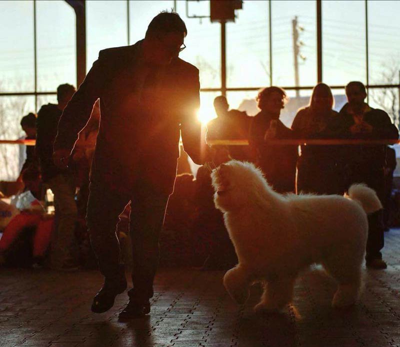 can you see this light