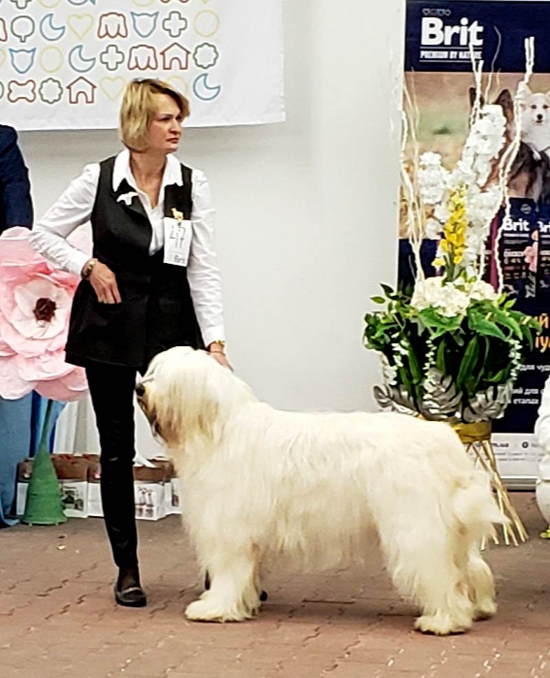 2019 - 20190323_2.jpg