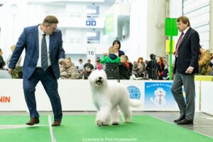 2019.04.25 - 25.04.2019.jpg