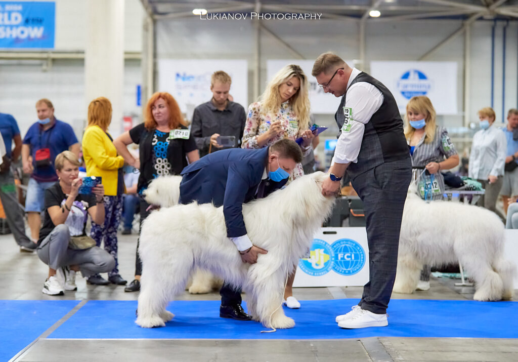 2021.08.27-29-Kiev-CACIB - LM1_02032