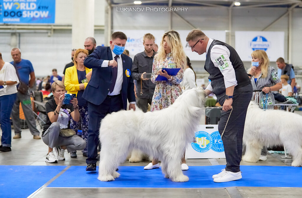 2021.08.27-29-Kiev-CACIB - LM1_02040