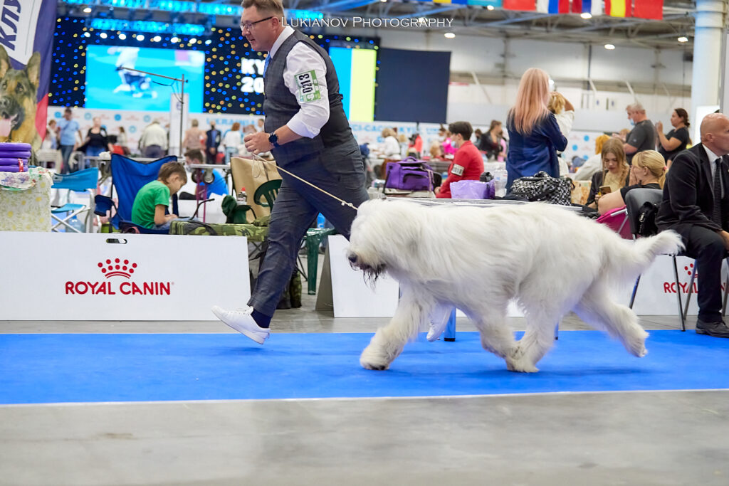 2021.08.27-29-Kiev-CACIB - LM1_02046