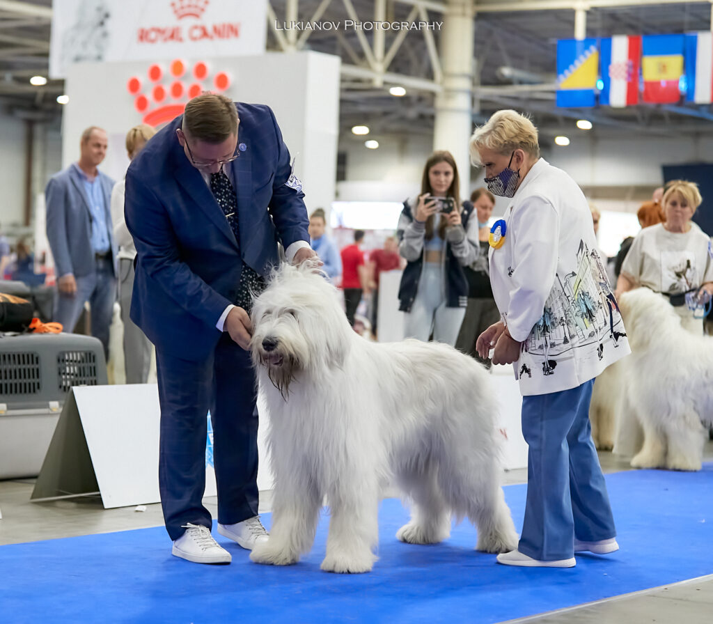 2021.08.27-29-Kiev-CACIB - LM2_13728