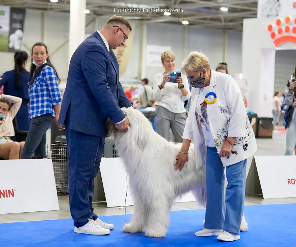 2021.08.27-29-Kiev-CACIB - LM2_13733