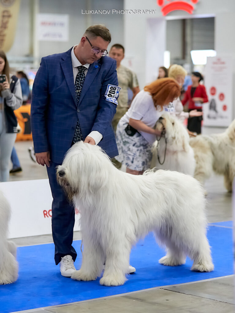 2021.08.27-29-Kiev-CACIB - LM2_13860
