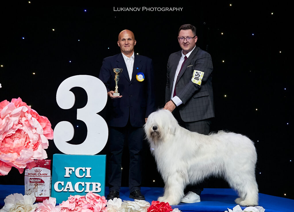 2021.08.27-29-Kiev-CACIB - LM3_29628